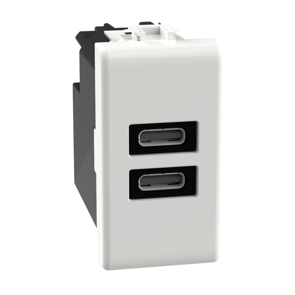 USB charger with 2 type C ports - 20W