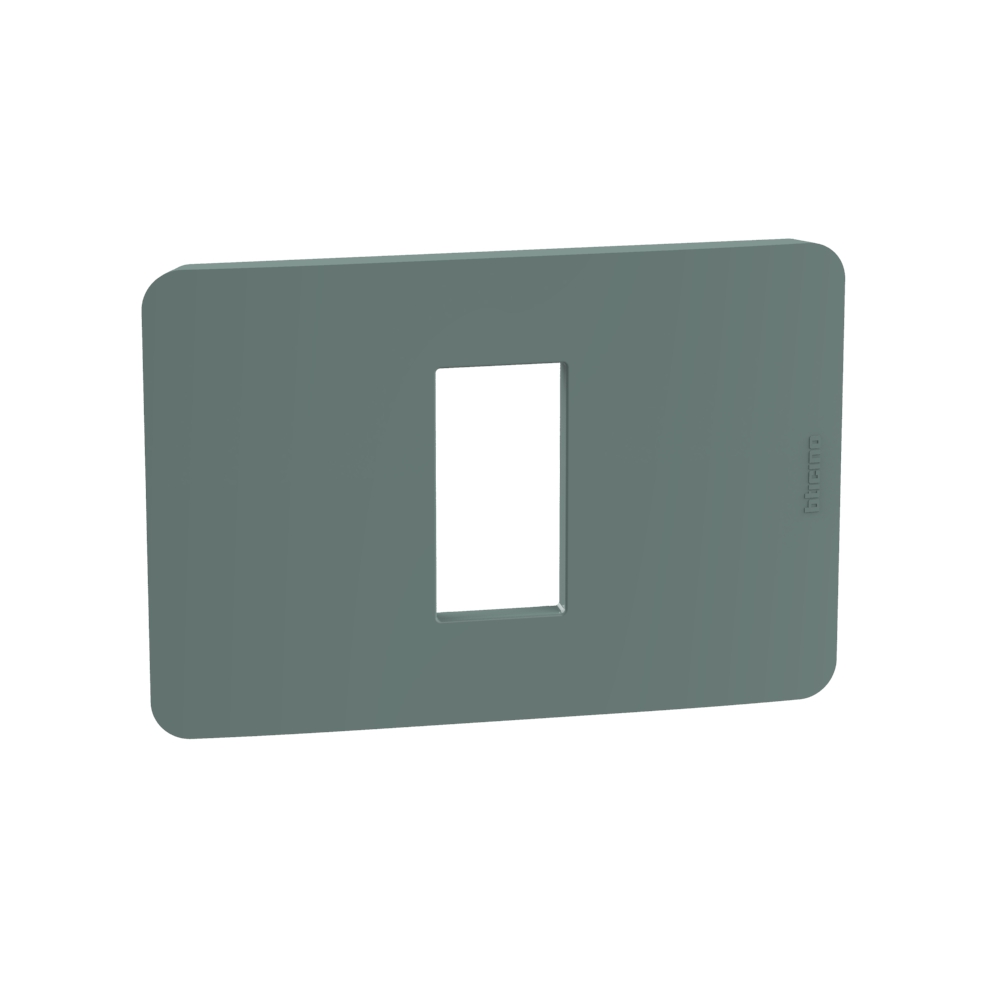 Cover plate - 1 module