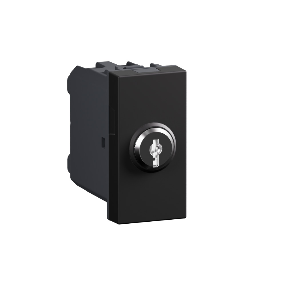Switch with key. 1-way switch 2P 16 AX - 250 Va.c.