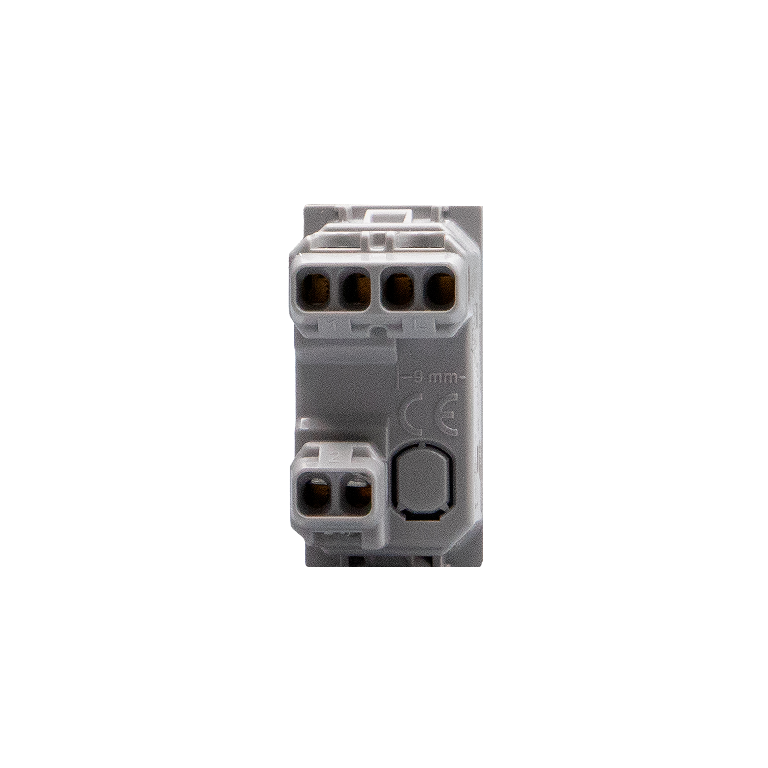 Double pushbutton with interlock 1P NO + 1P NO 10 A 250 Va.c. - not lightable
