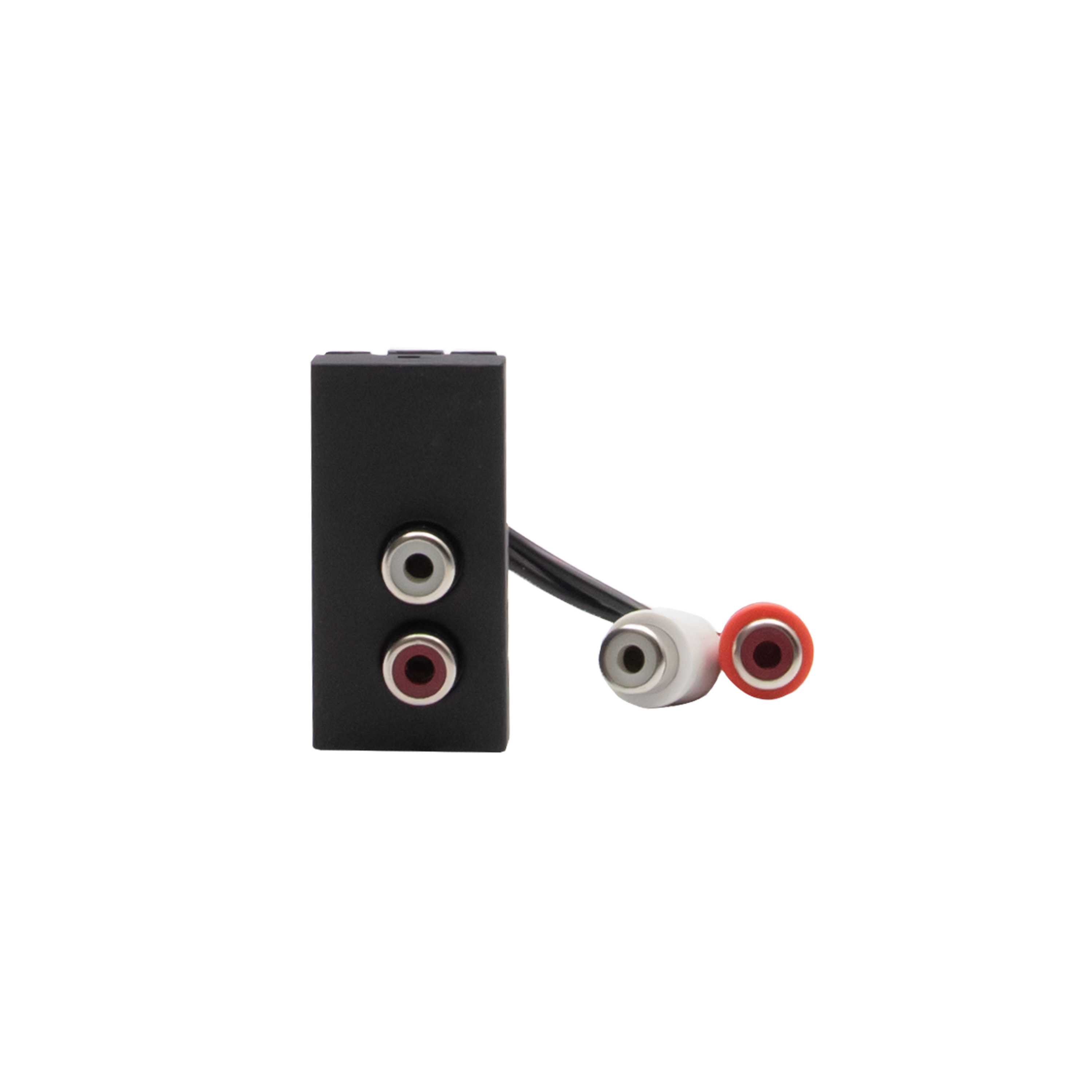 Connector - RCA x 2 - Pre-connected