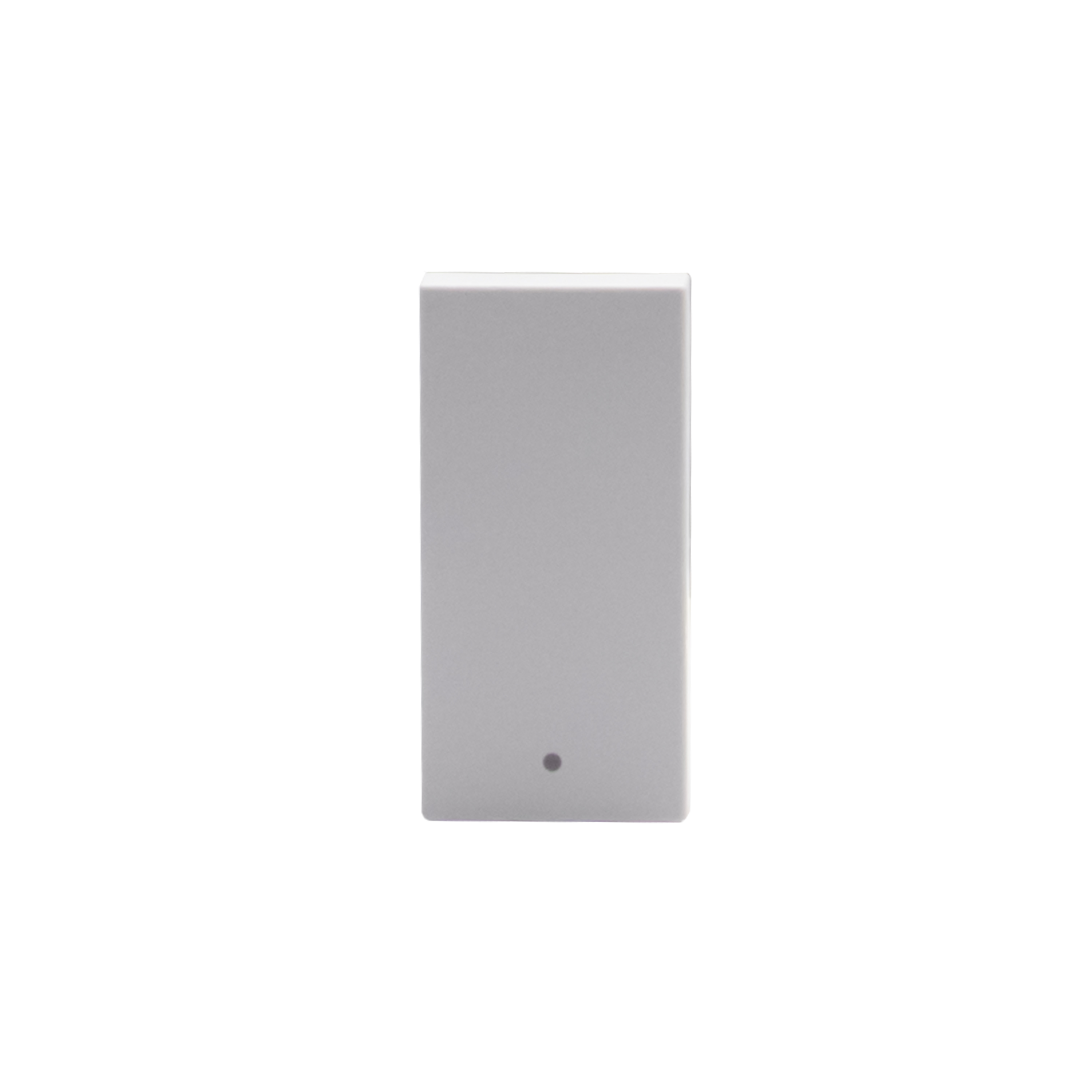 Rocker pushbutton. 1P NO 10 A - 250 Va.c. - lightable