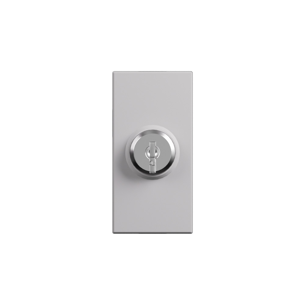 Switch with key. Pushbutton 2P 16 AX - 250 Va.c.
