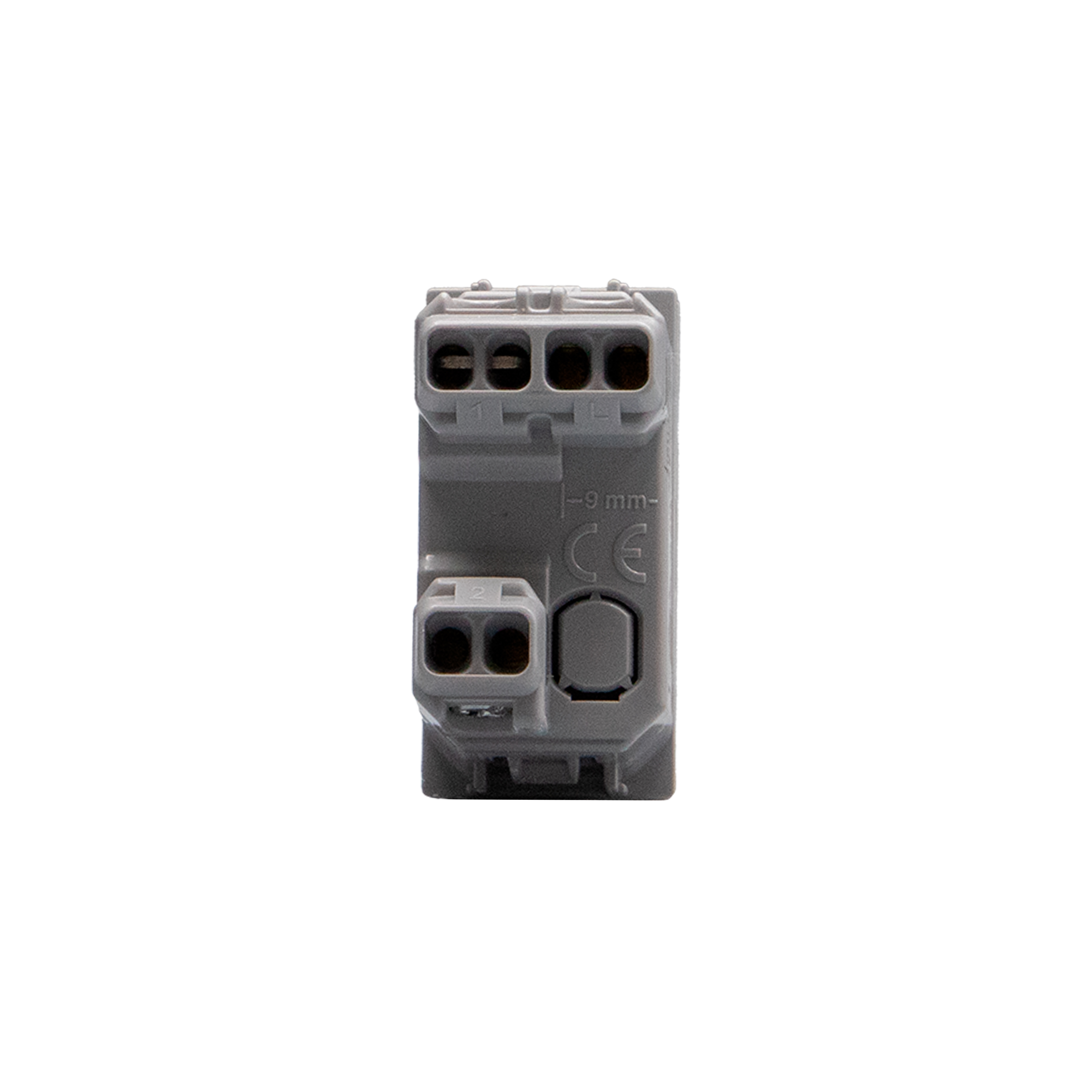 Double pushbutton with interlock 1P NO + 1P NO 10 A 250 Va.c. 