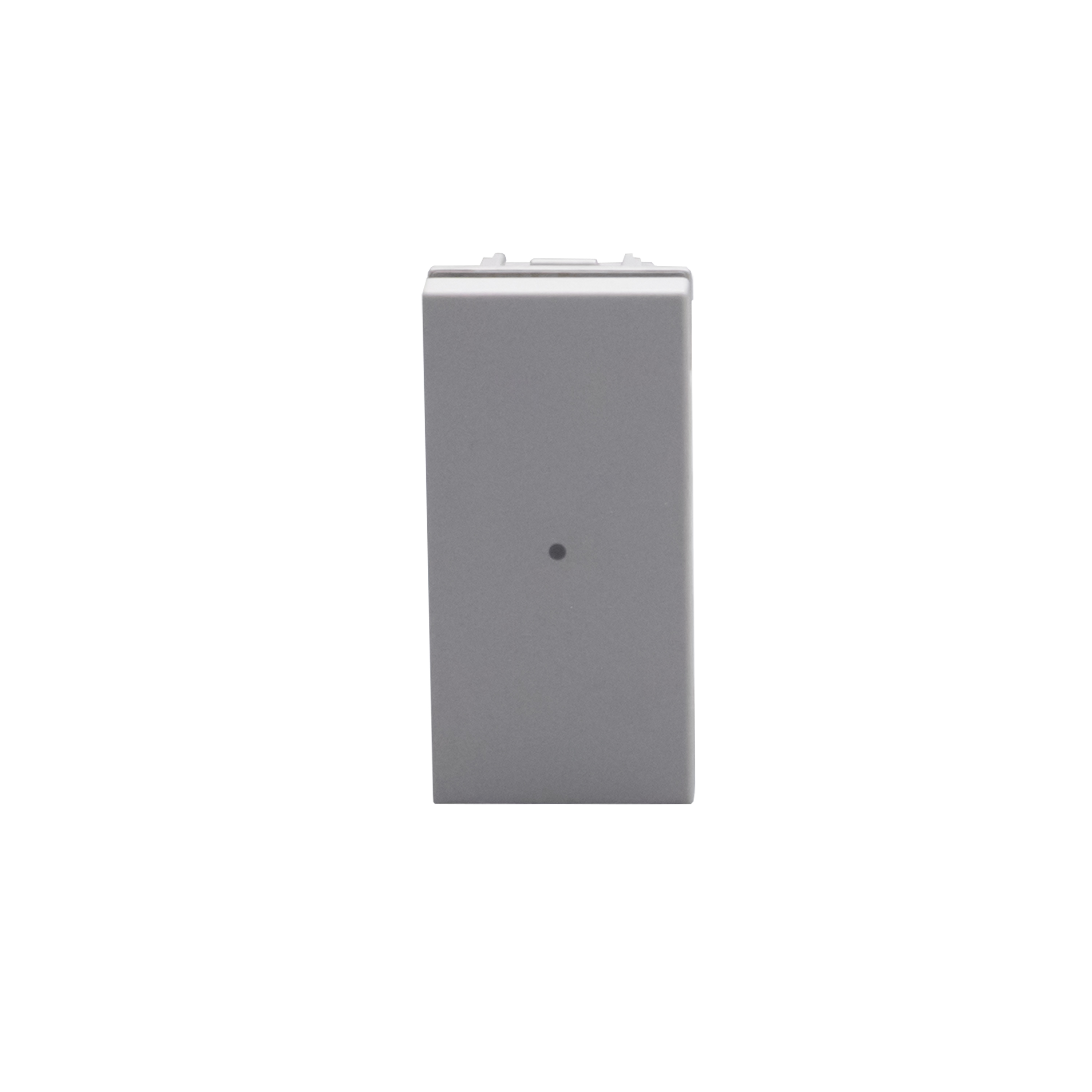 1- way axial switches. 1P 10 AX - 250 Va.c. 