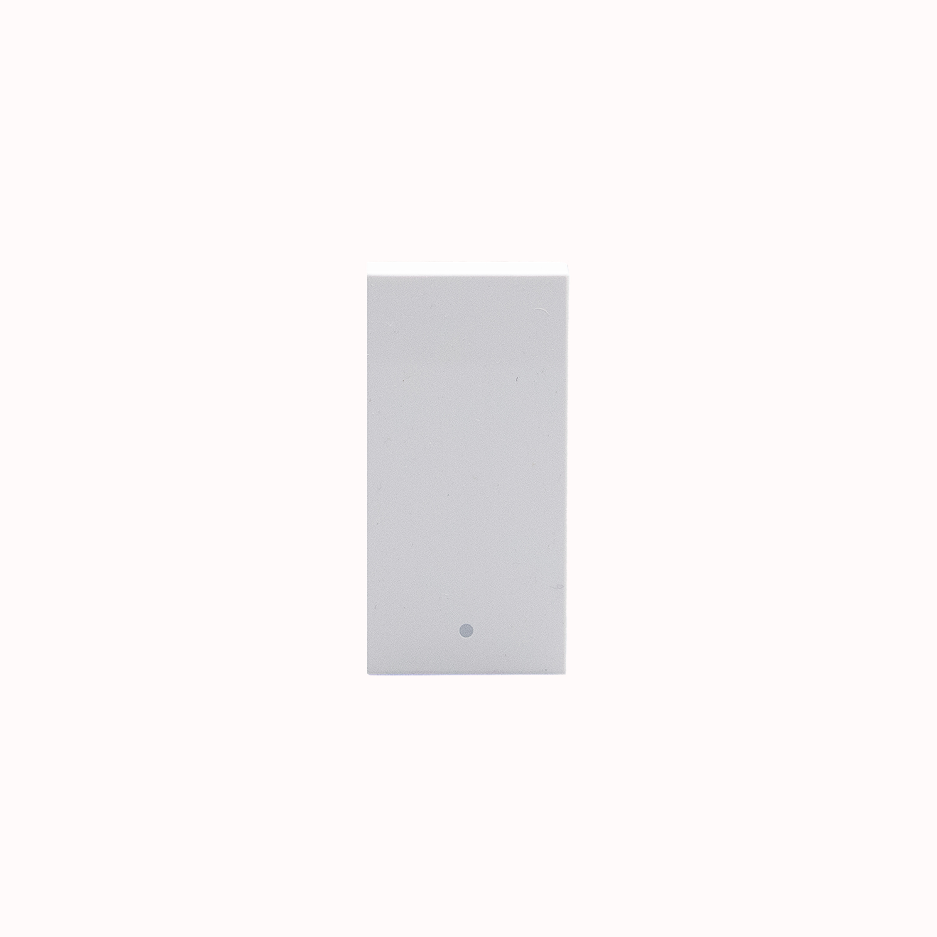 Rocker pushbutton. 1P NO 10 A - 250 Va.c.  
