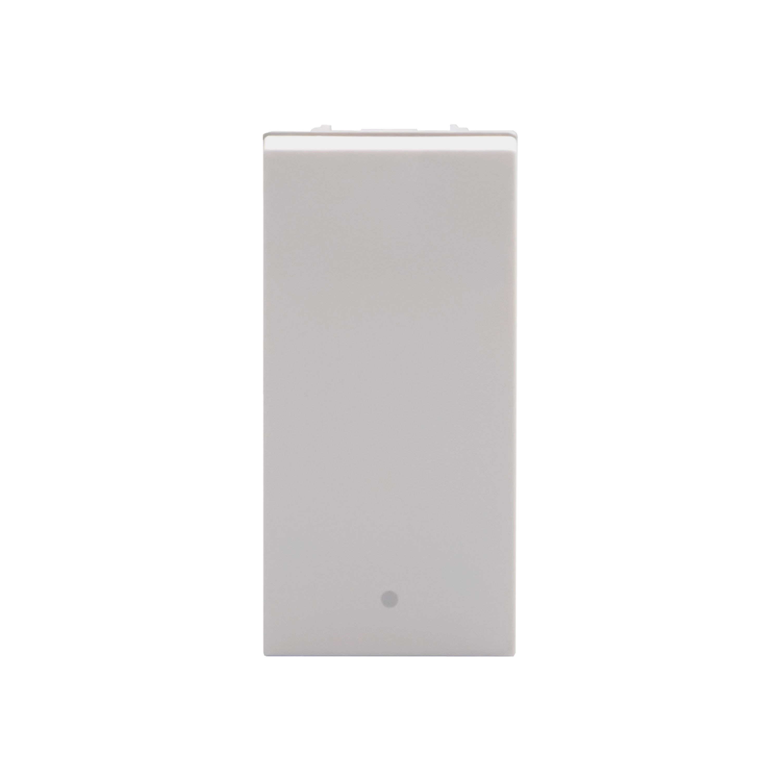 Rocker pushbutton. 1P NO 10 A - 250 Va.c.  - Antibacterial range