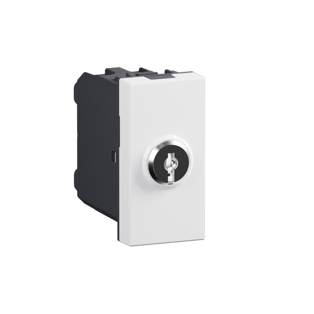 Switch with key. Pushbutton 2P 16 AX - 250 Va.c.
