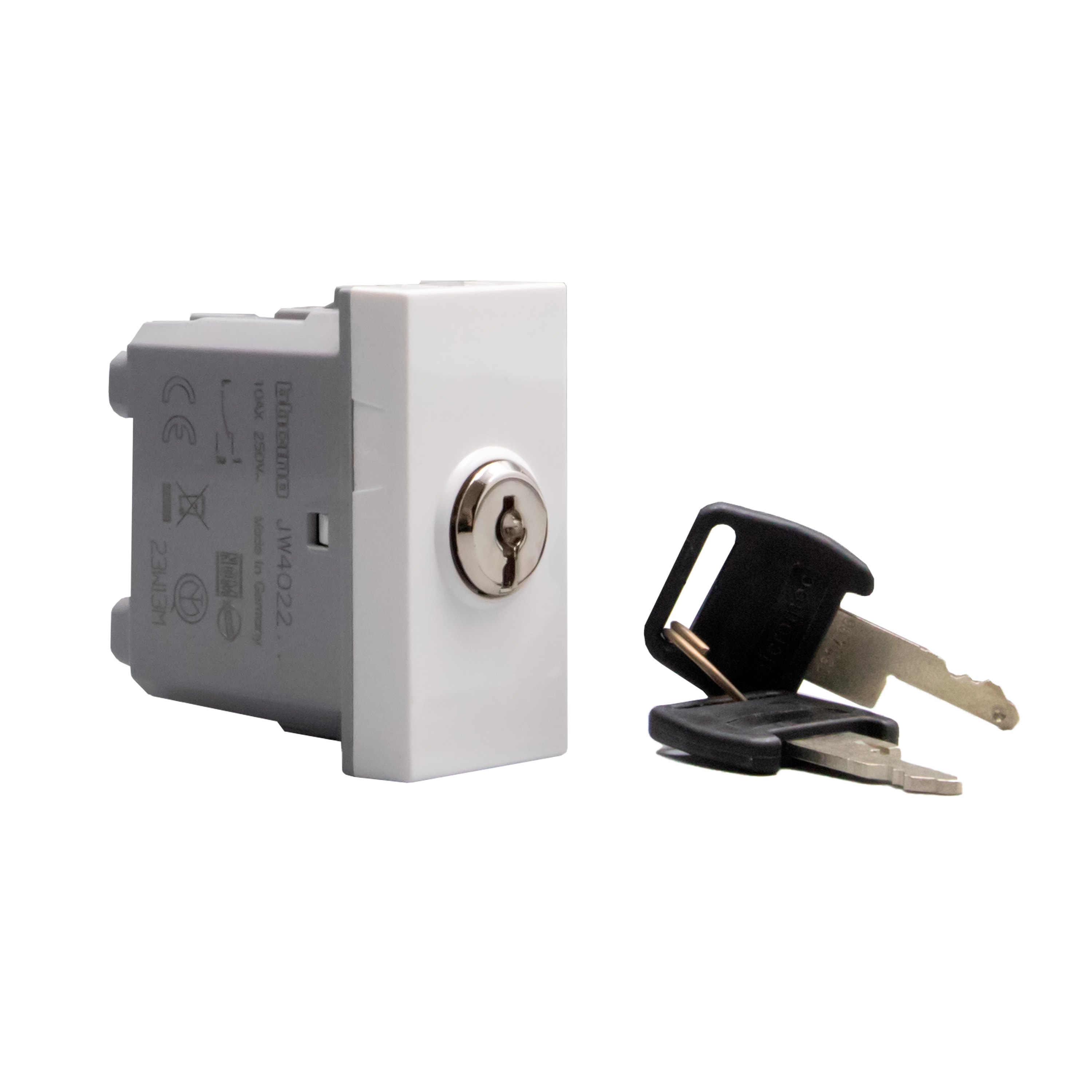 Switches with key. 2-way switch 10 AX - 250 Va.c.  
