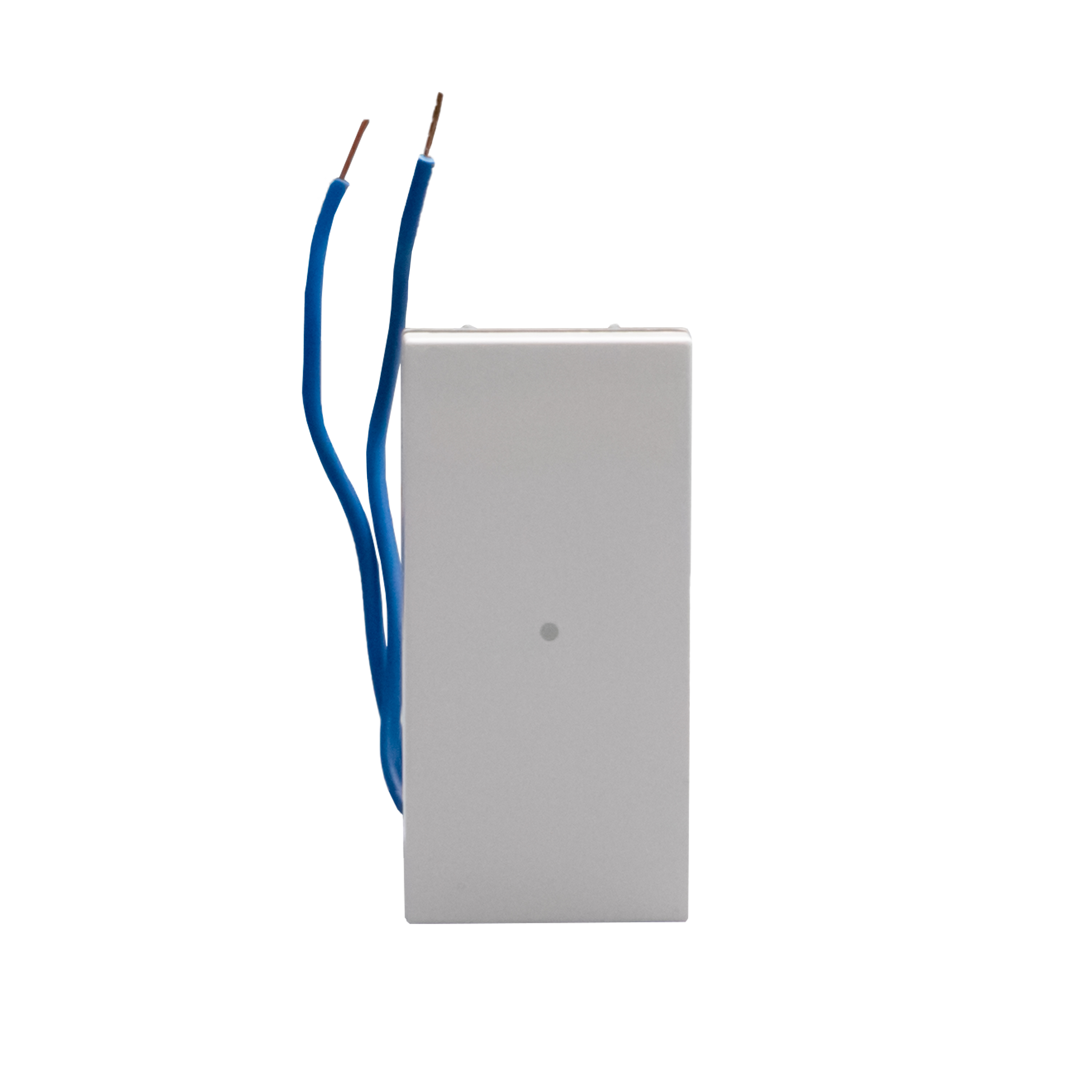 Intermediate axial switches. 1P 10 AX - 250 Va.c.  