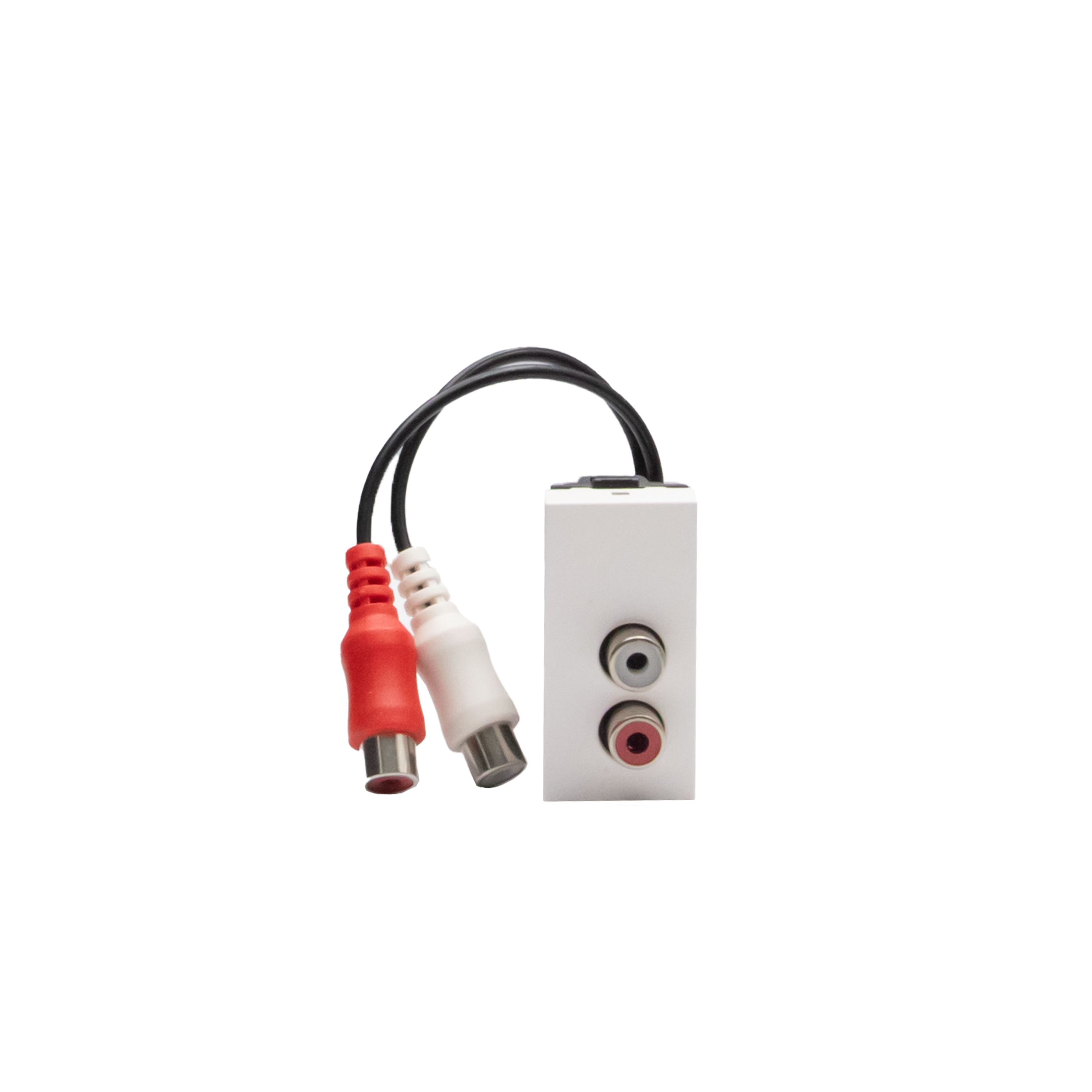 Connector - RCA x 2 - Pre-connected  