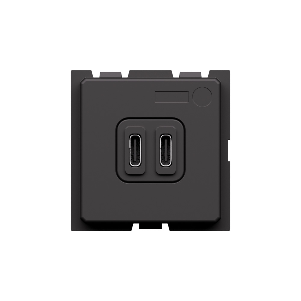USB charger with 2 type C ports - 20W