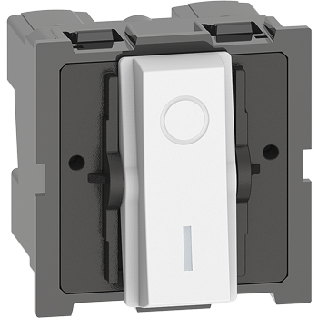 Indian standard two-pole switches, 2P 32 A, 250 VA switch