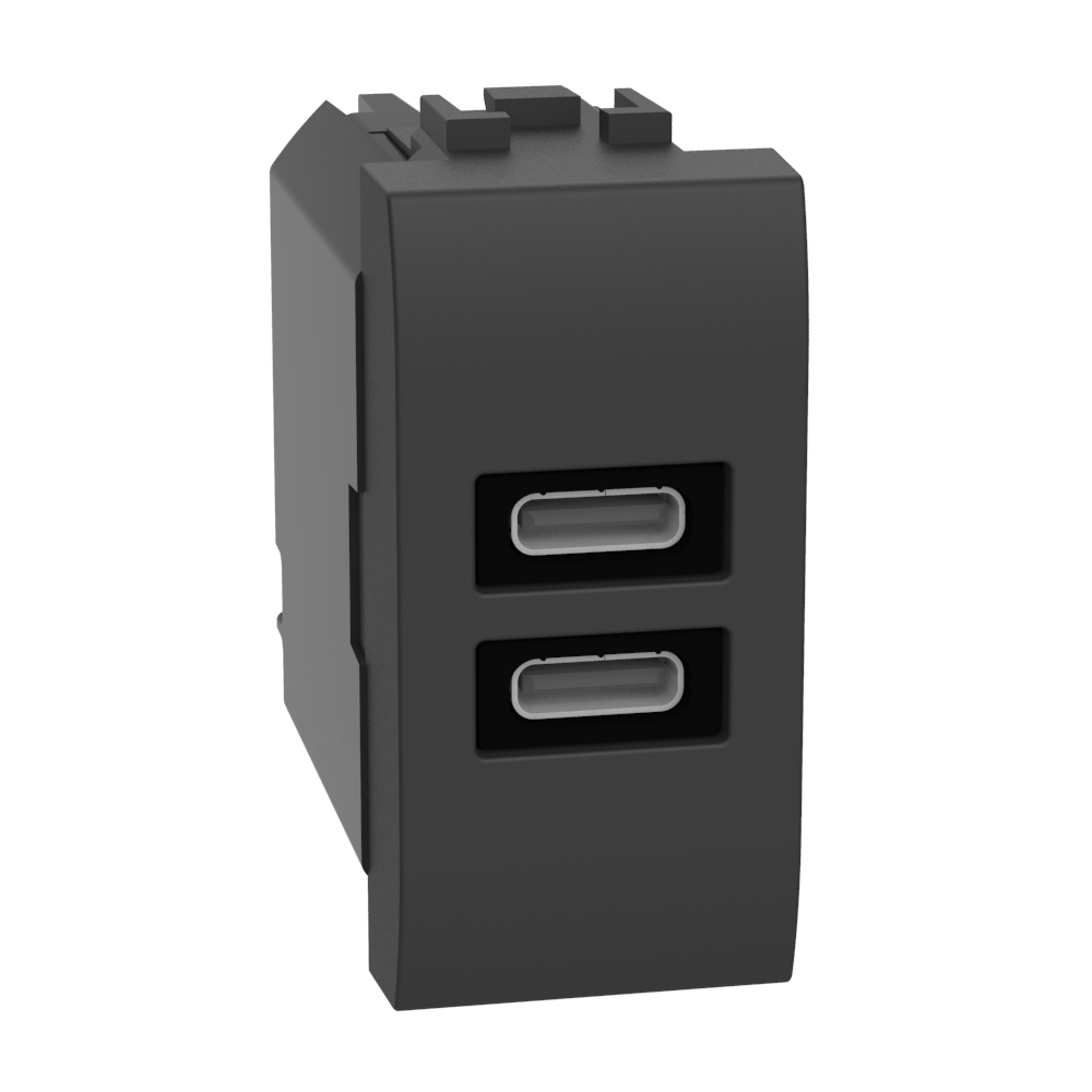 USB charger with 2 type C ports - 20W