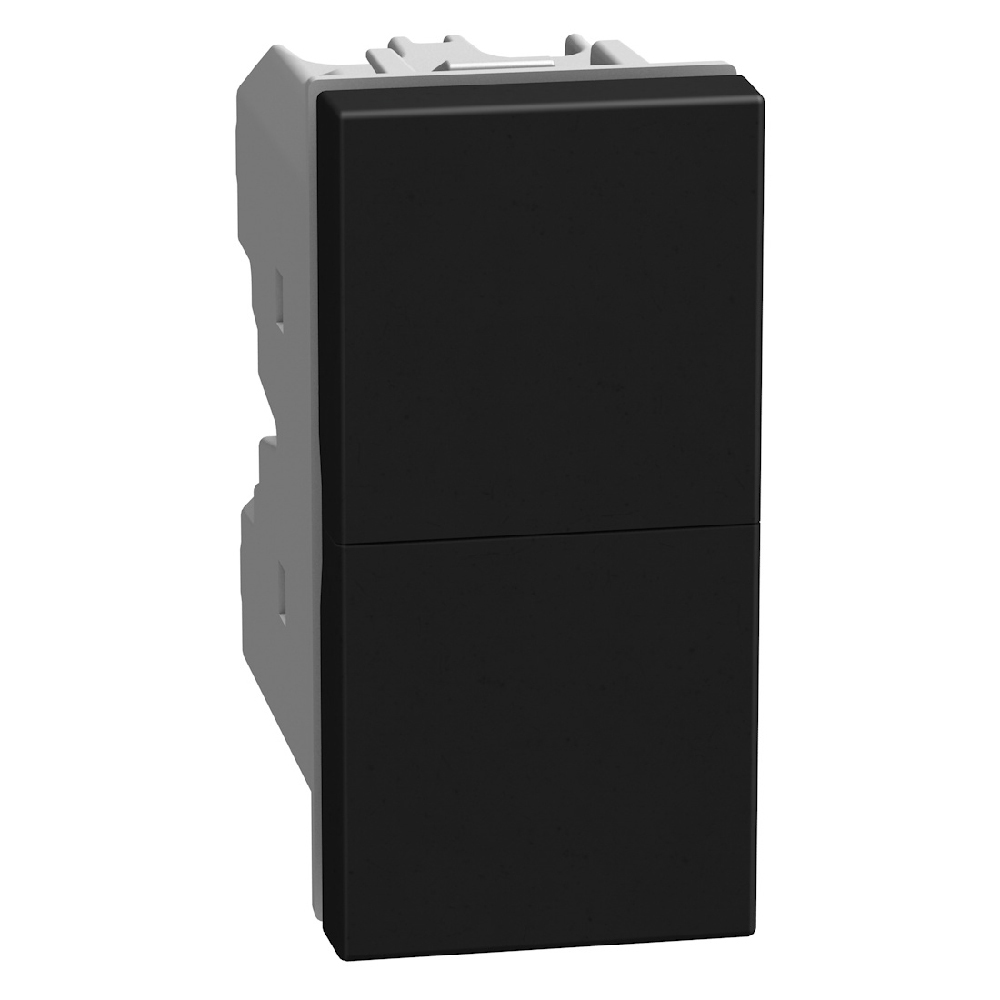 Double pushbutton 1P NO + 1P NO 10 A 250 V - not lightable - 1 module - dark