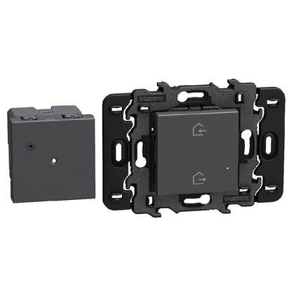 Gateway for remote home control - Power supply 100-240 Vac - 2 modules -  dark
