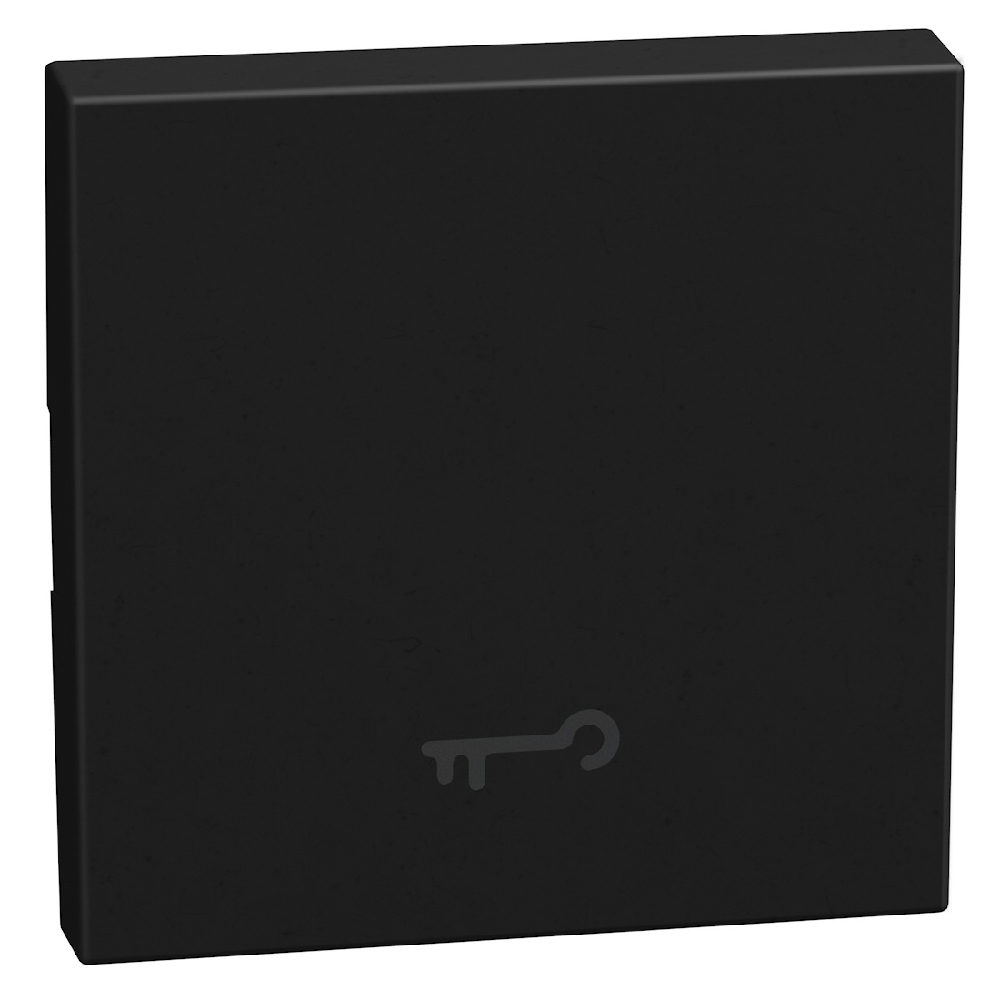 lightable key cover with key symbol, 2 modules dark, rocker