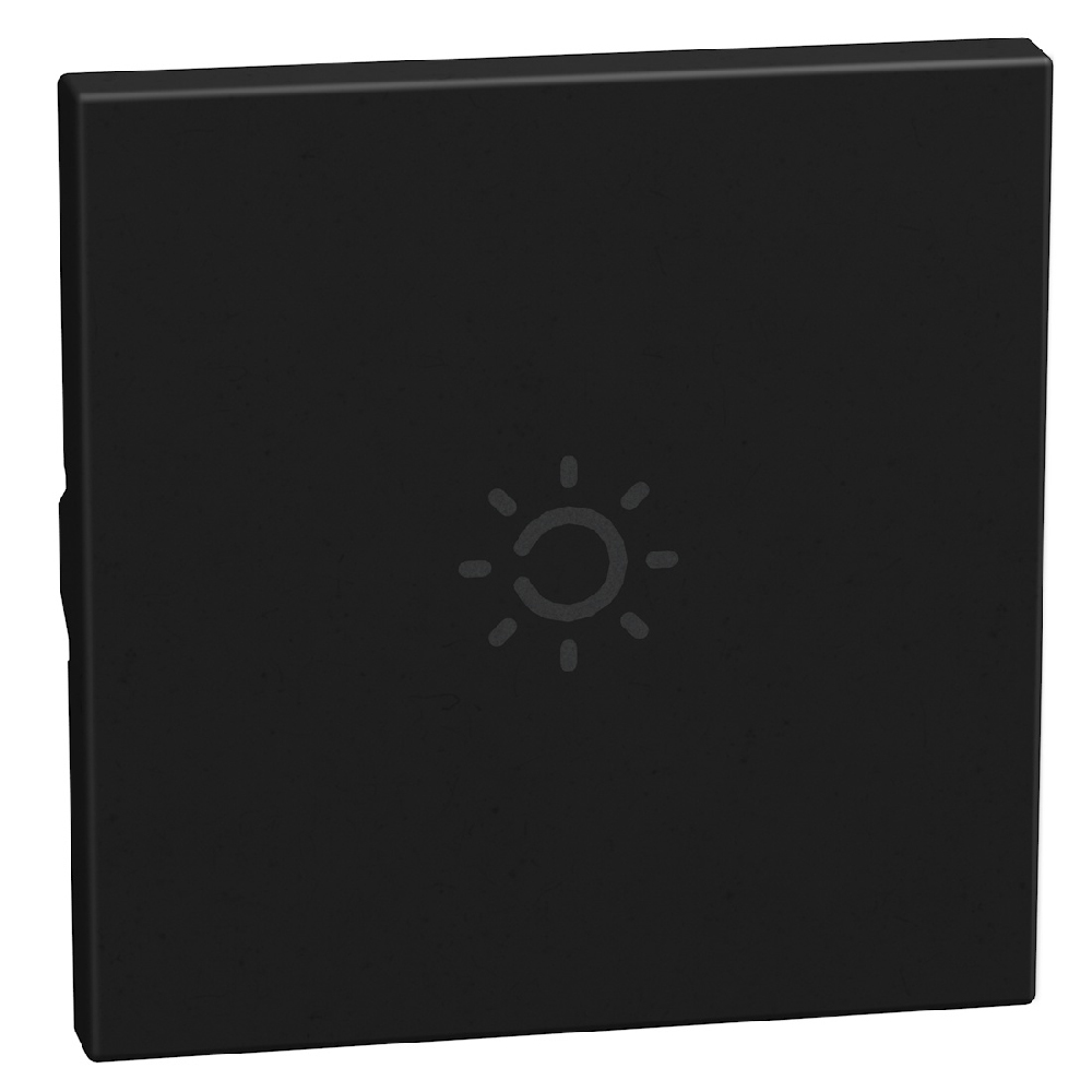 lightable key cover with lamp symbol, 2 modules dark, axial