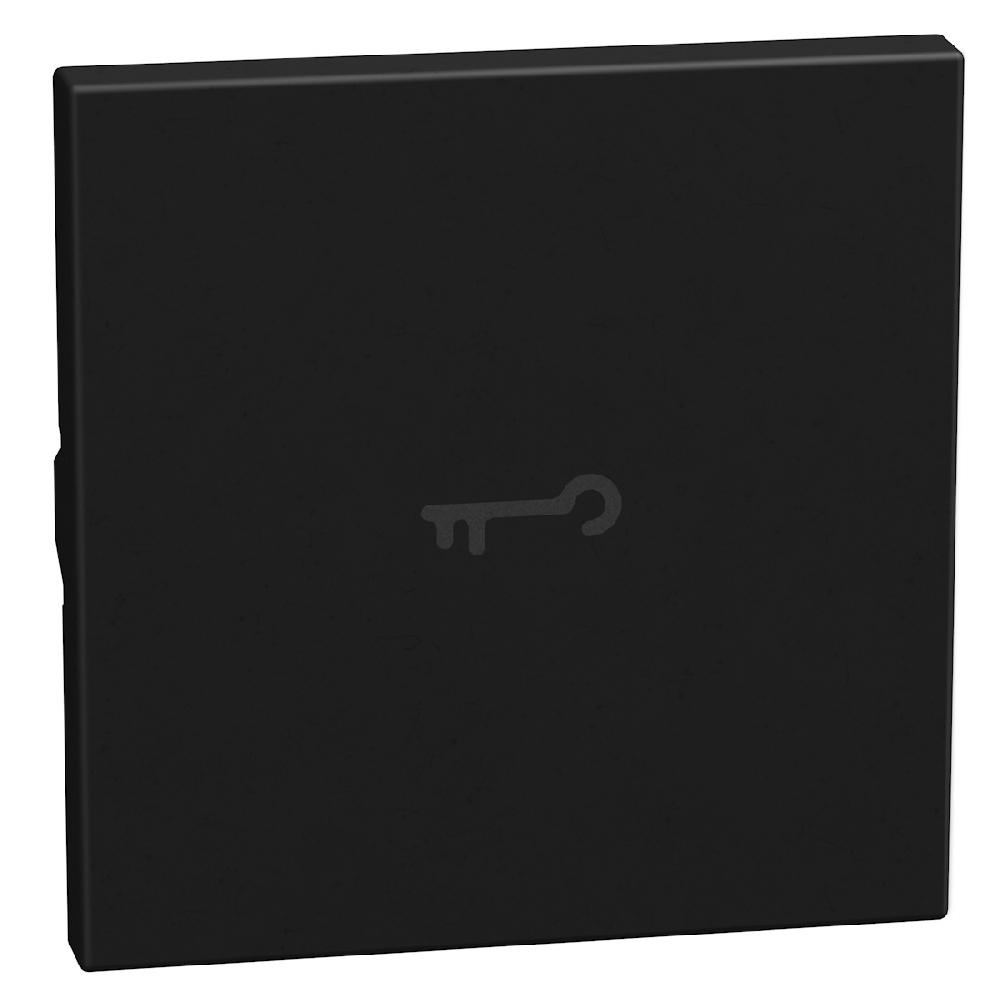 lightable key cover with key symbol, 2 modules dark, axial