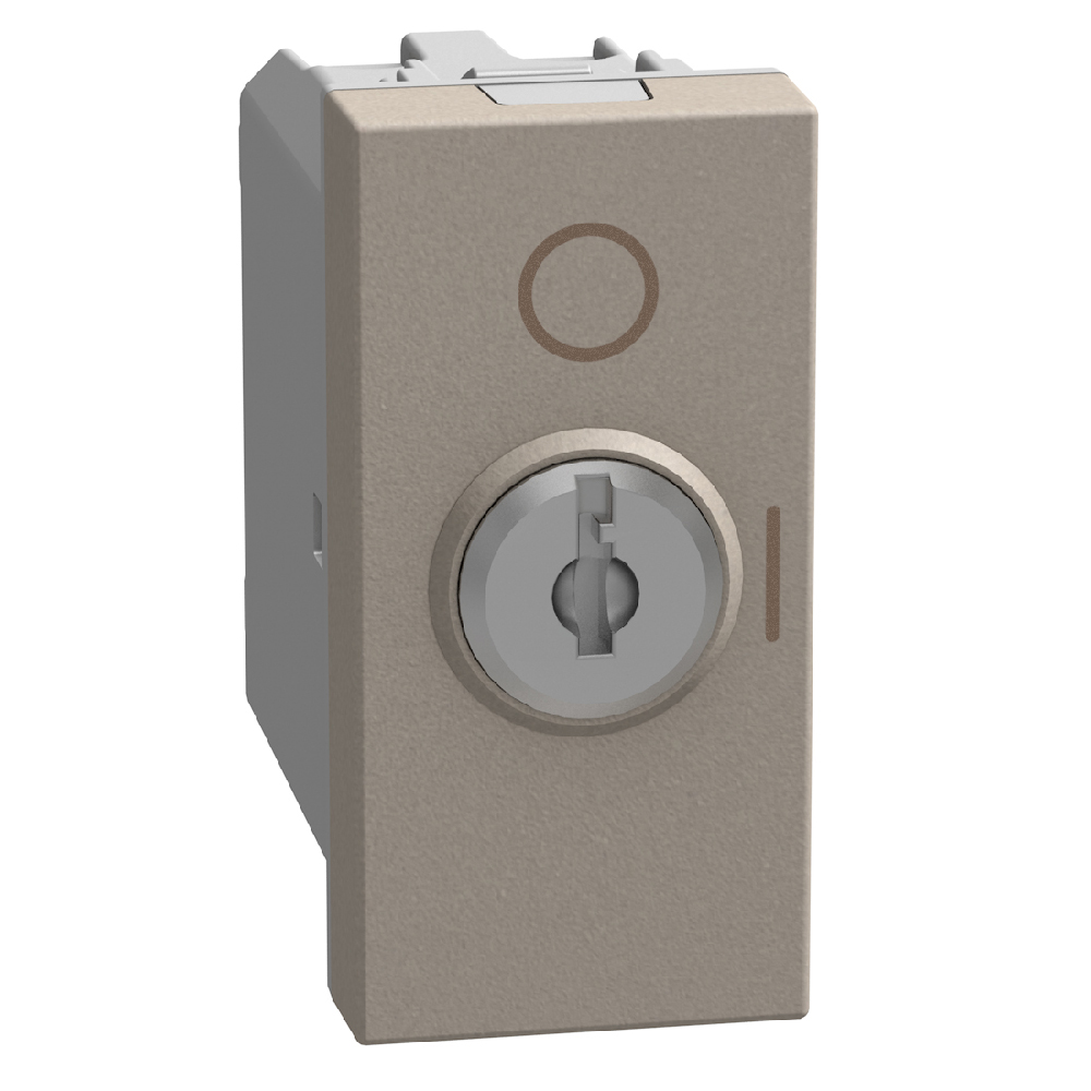1-way switch 2P 10 AX - 250 V with key - 1 module - stone