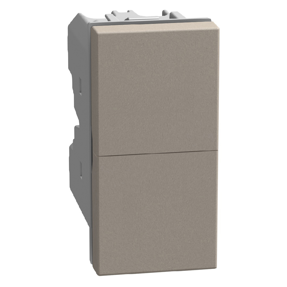 Double pushbutton 1P NO + 1P NO 10 A 250 V - not lightable - 1 module - stone