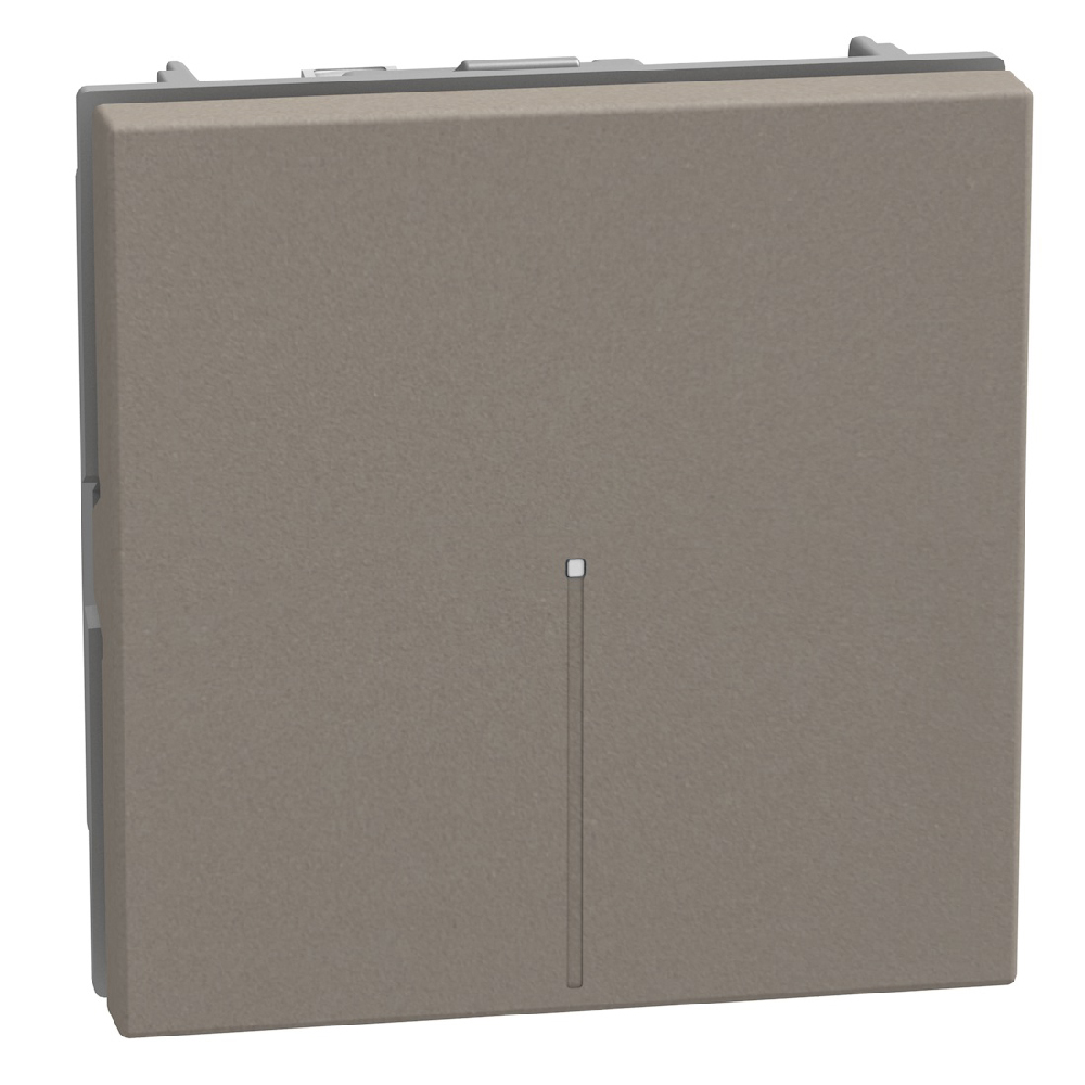 1-way 1P 10AX 2 modules stone, axial, lightable, automatic terminals