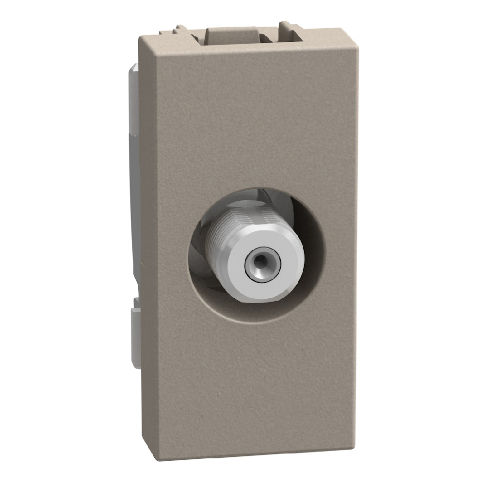 Type F TV coaxial connector - 1 module - stone