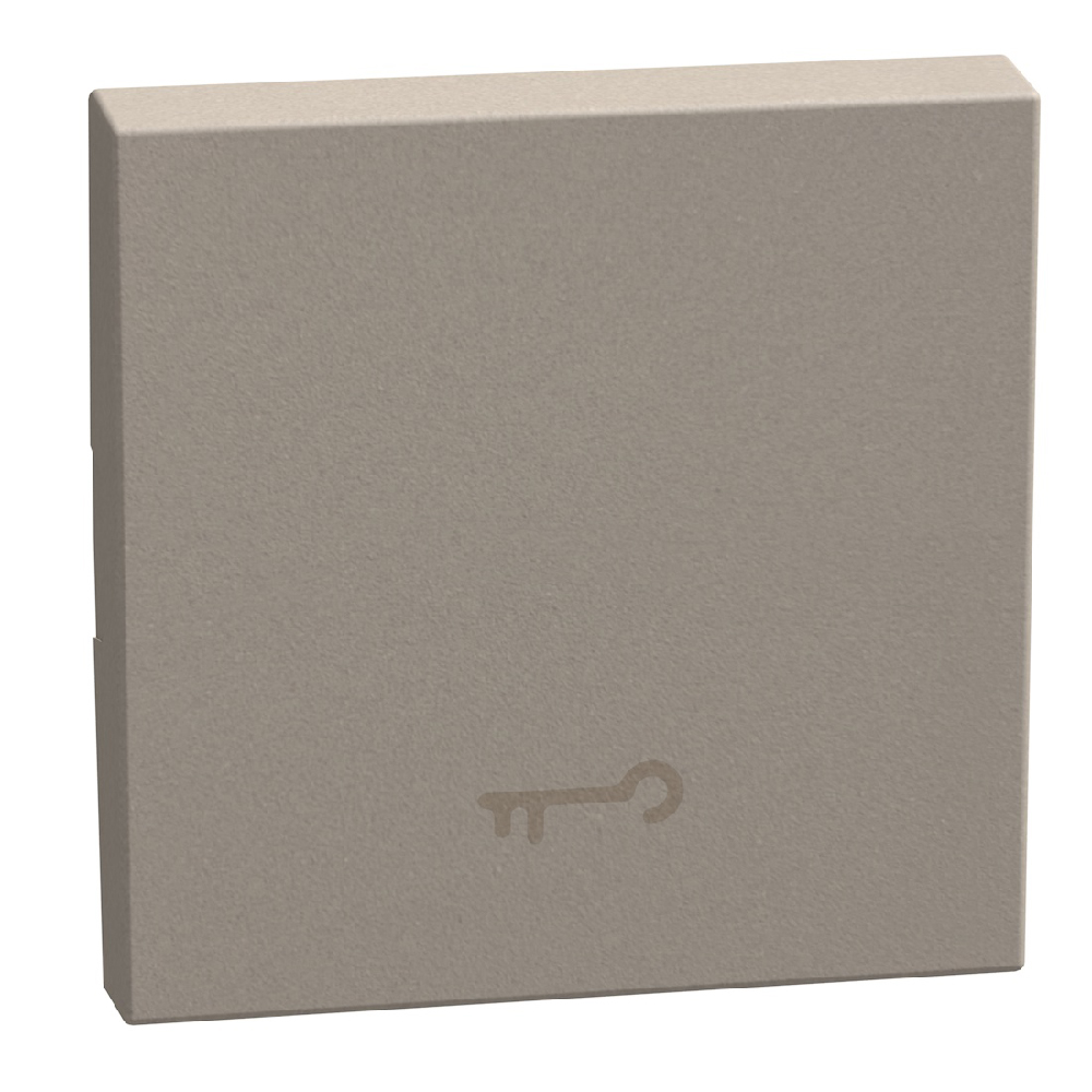 lightable key cover with key symbol, 2 modules stone, rocker