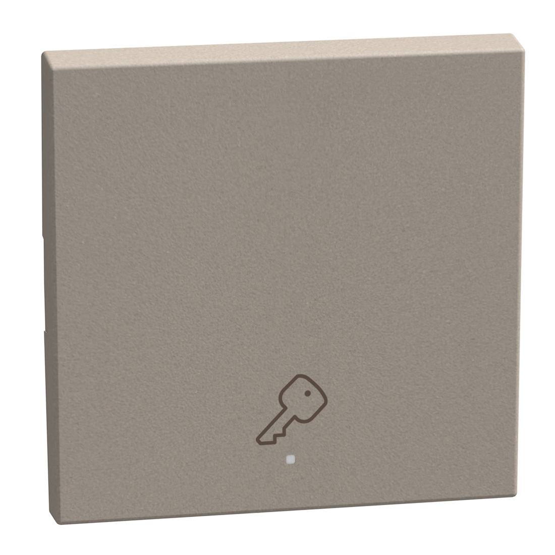 1 function silk-screen printed Key cover with symbol Key - 2 modules - stone