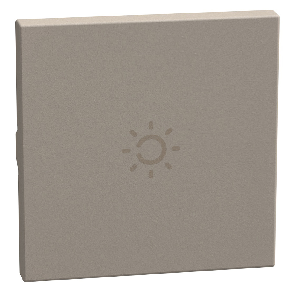 lightable key cover with lamp symbol, 2 modules stone, axial