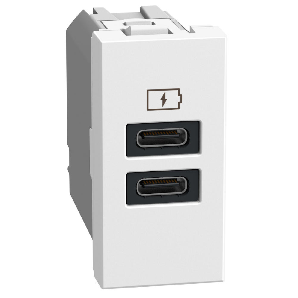 USB charger with 2 type C ports - 20W