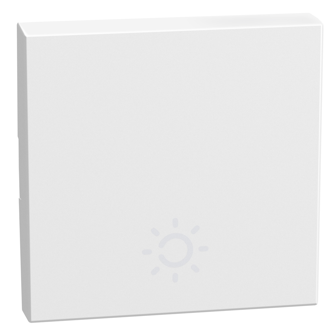 lightable key cover with lamp symbol, 2 modules white, rocker