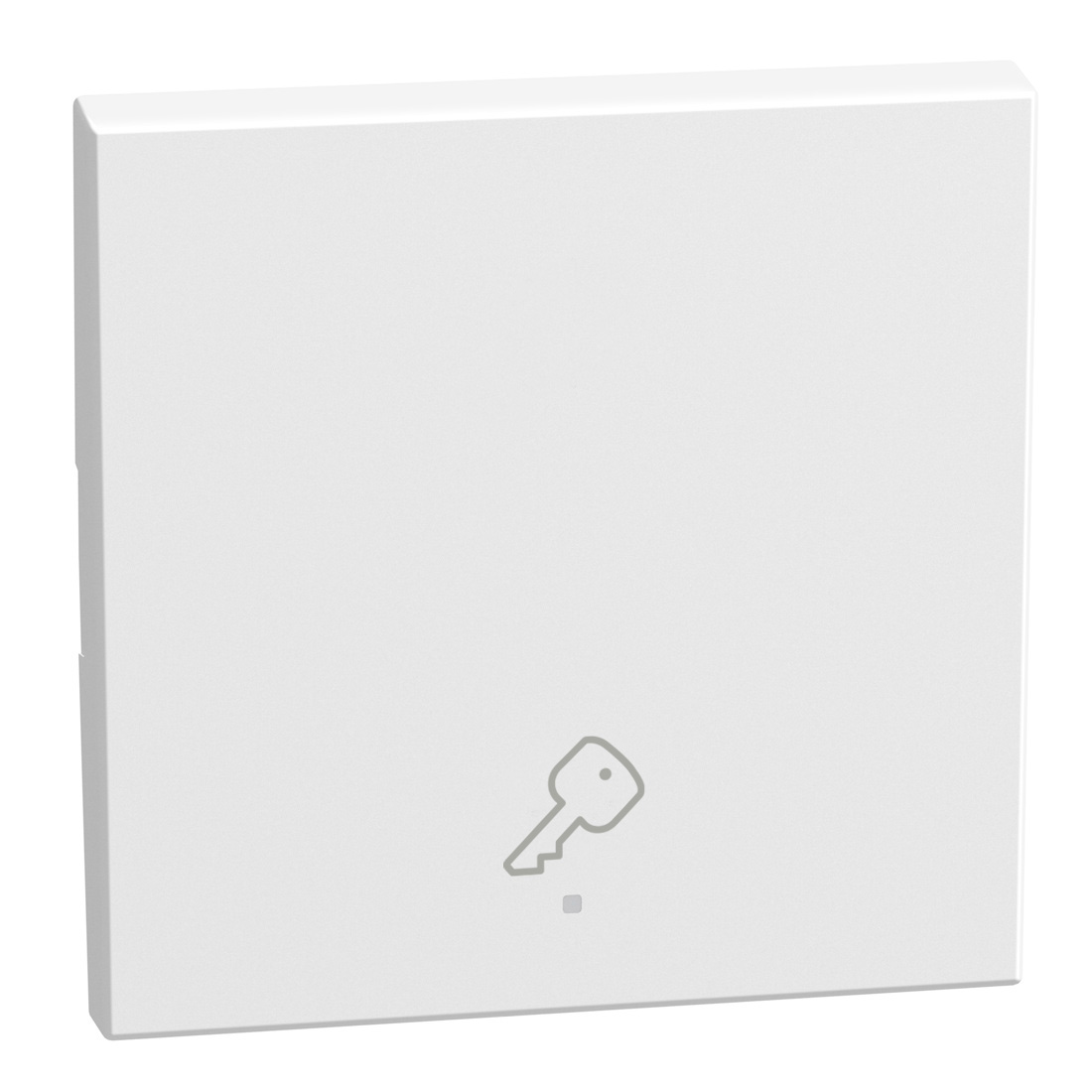 1 function silk-screen printed Key cover with symbol Key - 2 modules - white