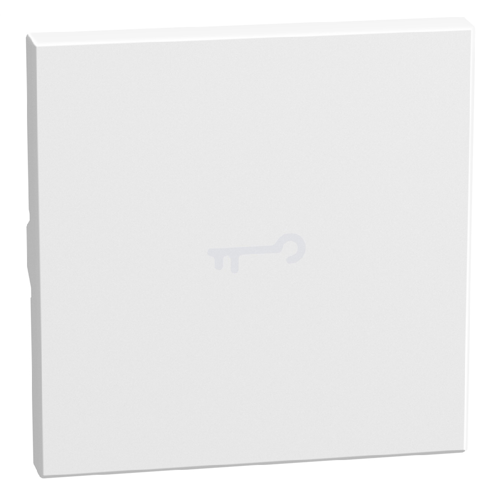 lightable key cover with key symbol, 2 modules white, axial