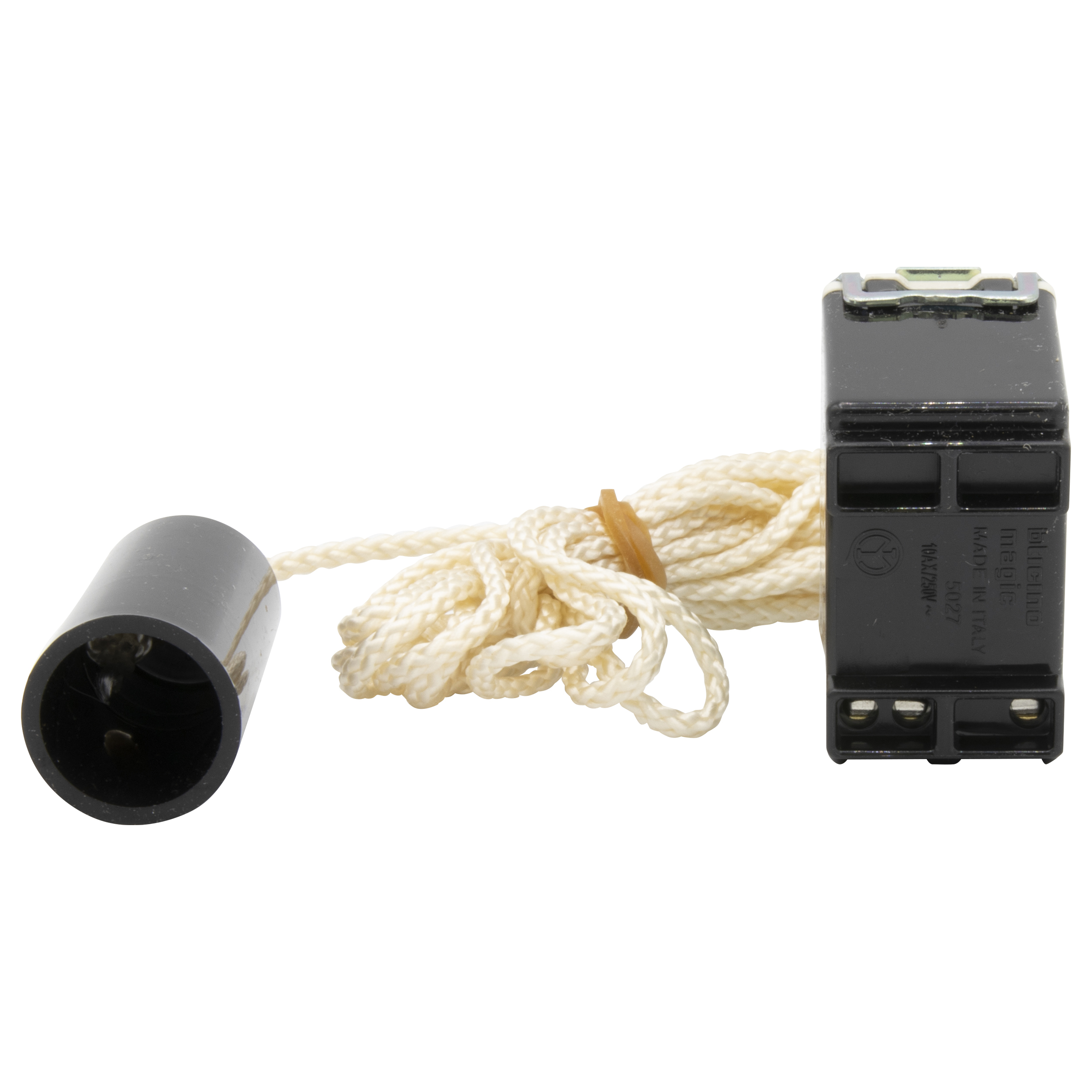 Switch 1P 10 A NO with tie cord