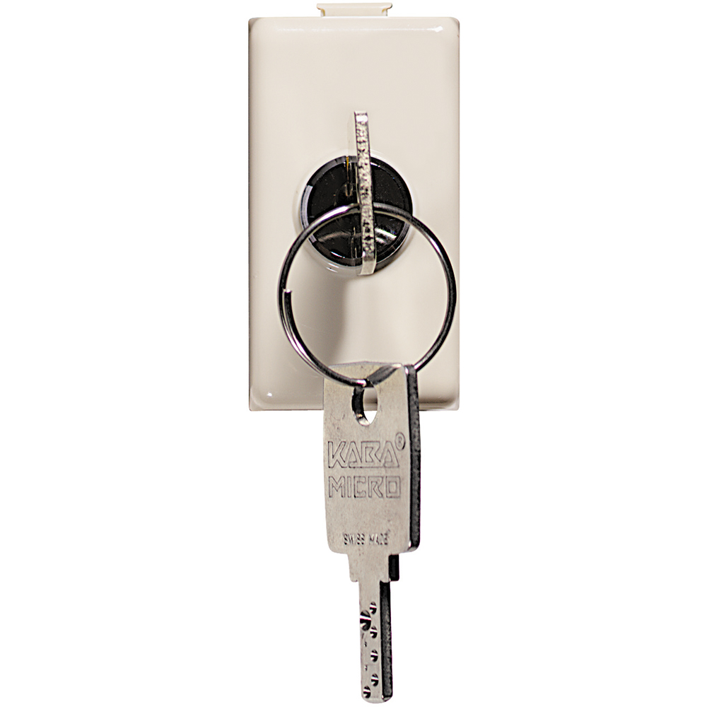 Switch 2P 16A 250 Vac with key