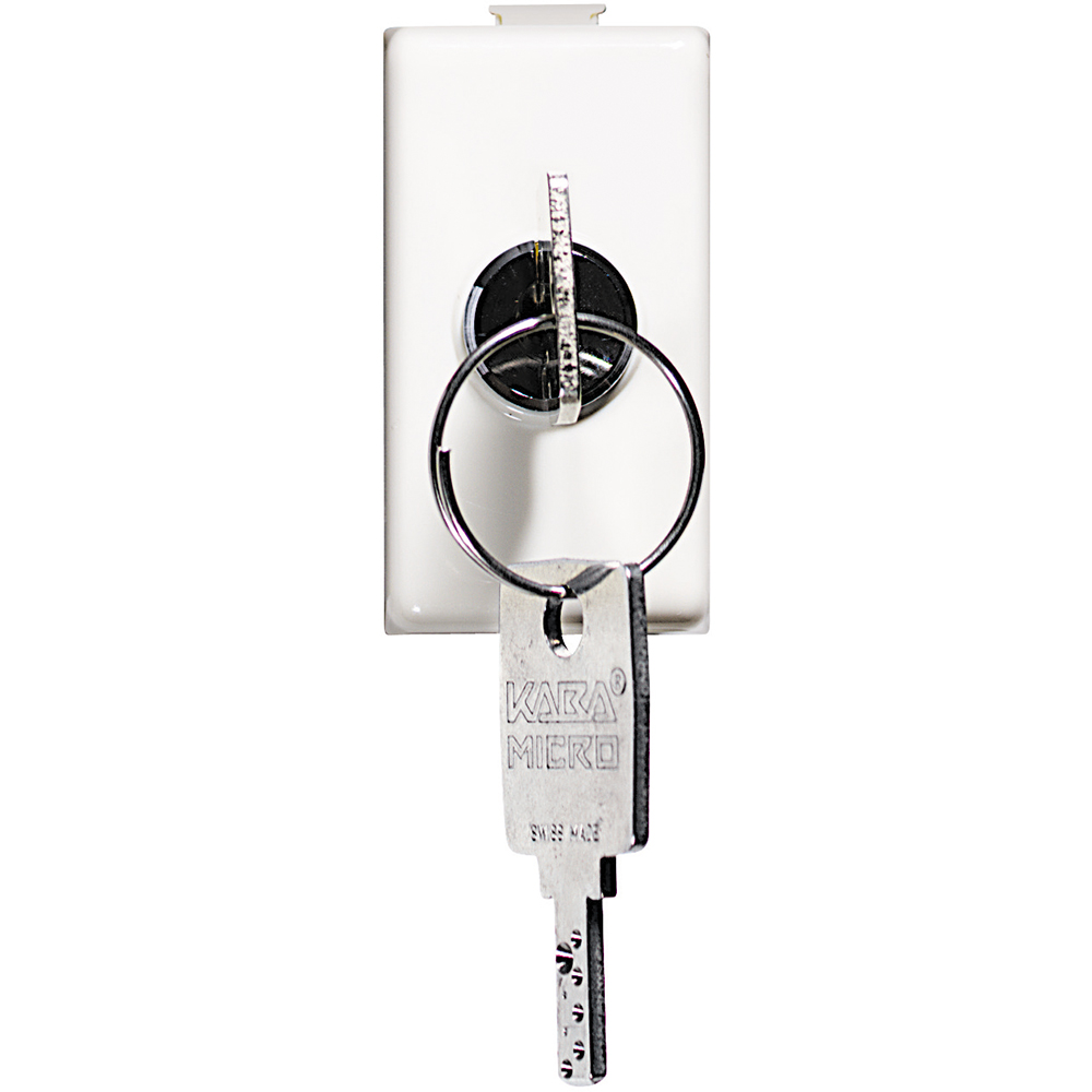 2-way switch 1P 16A 250 Vac with key
