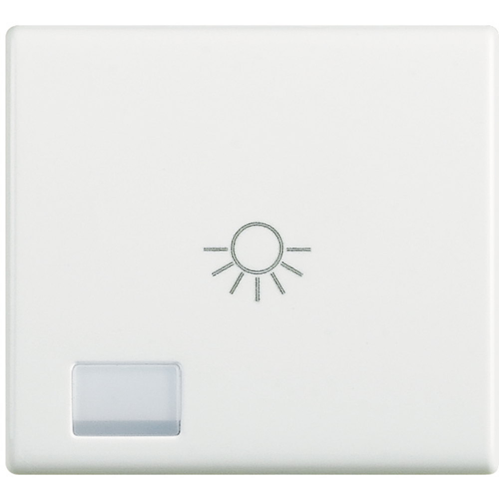 Key cover symbol Light 2 modules