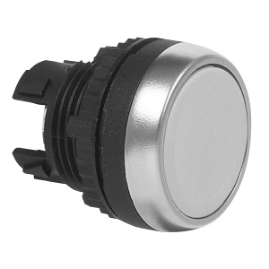 Push Button Without Spring Return BACO Push Button - Push Button Flush Spring Return White to be Engraved ...