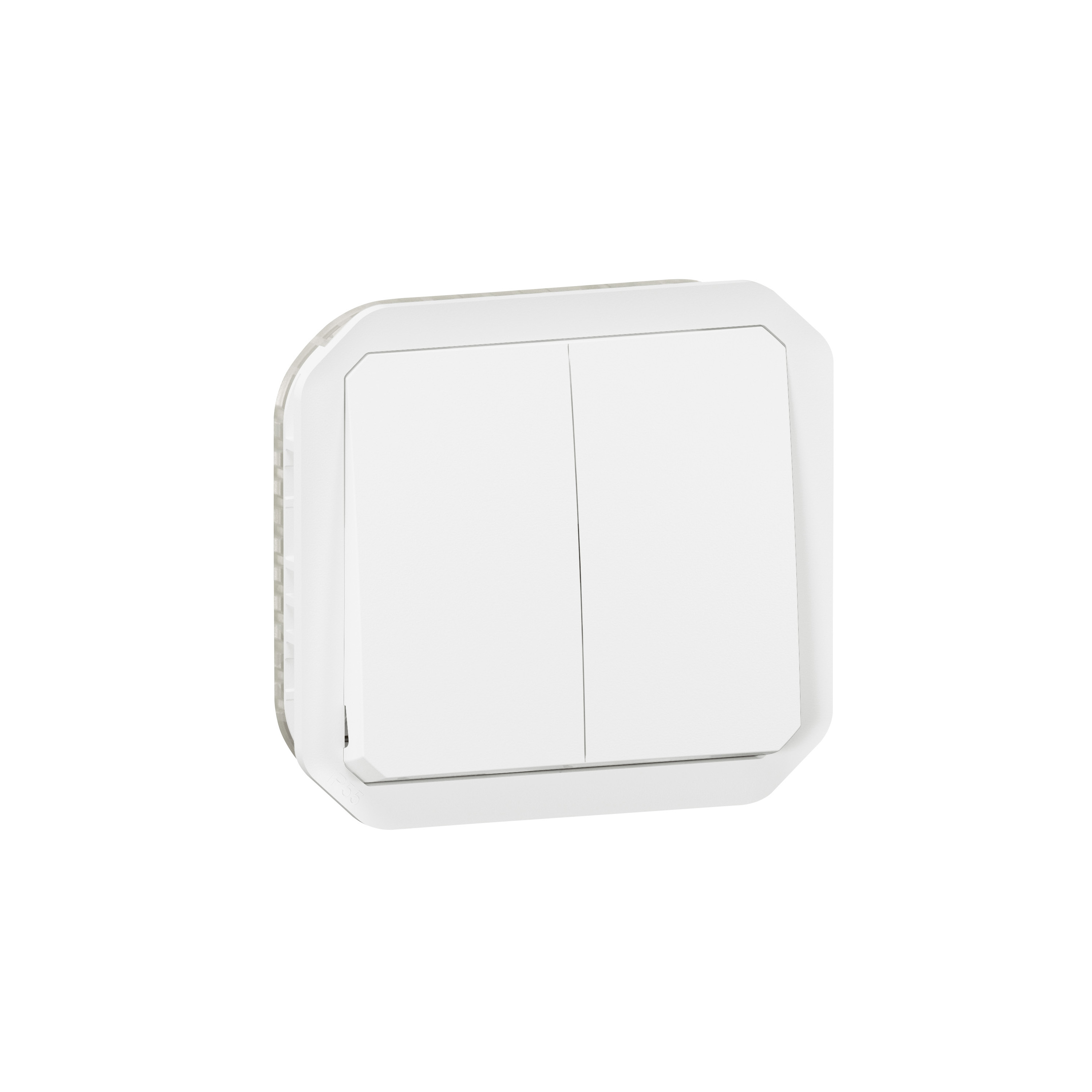 Legrand Interruptor/Conmutador doble Plexo (Gris, Montaje en la pared,  IP55)