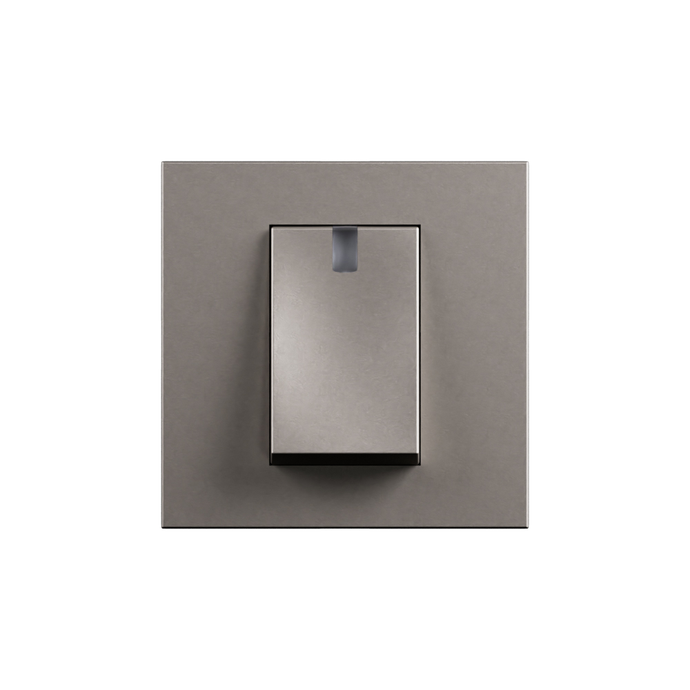 Arteor Advance - 2 modules 1 way 32A double pole switch with indicator ...
