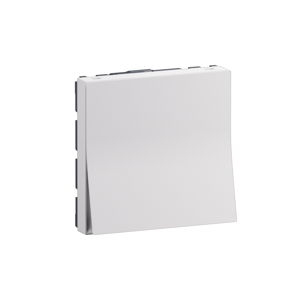 2 modules 2 way 20AX single pole switch matt white - 2M 2W 20AX SP ...