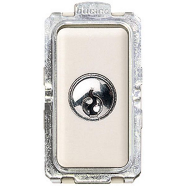Switch 2P 10 A 250 Vac with key