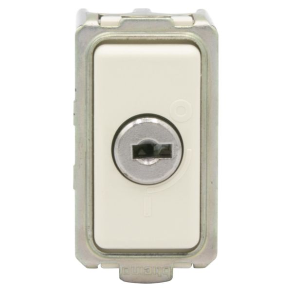 Switch 2P 10 A 250 Vac with key