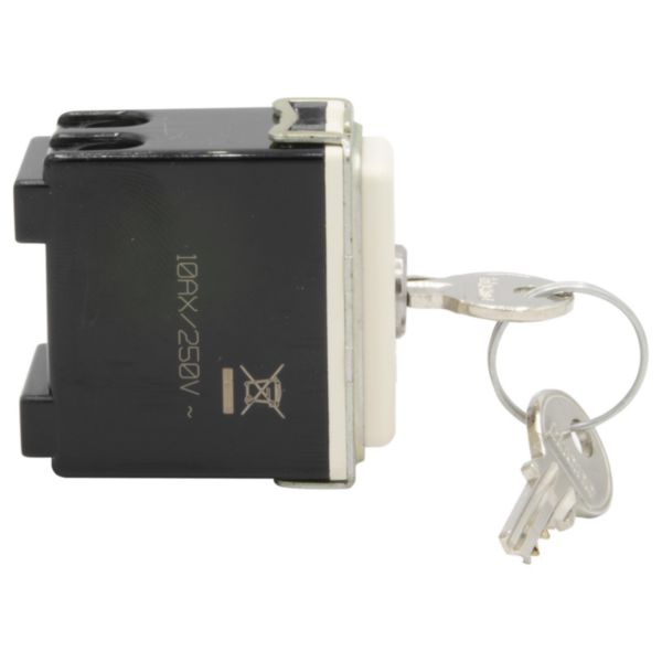 Switch 2P 10 A 250 Vac with key
