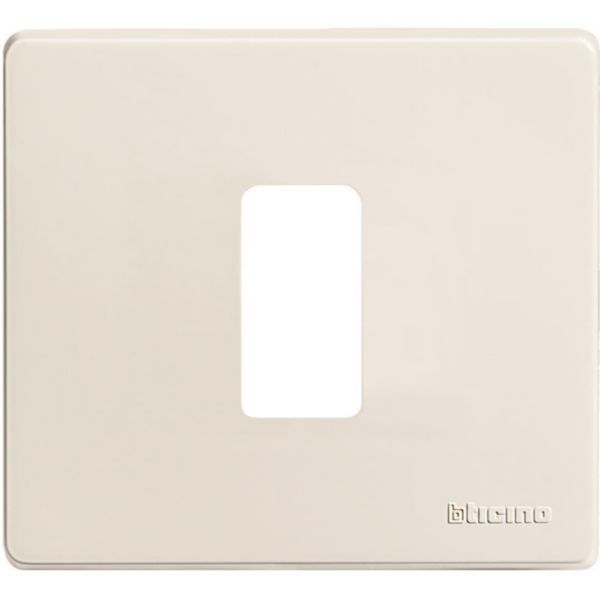 Cover plate 1 module