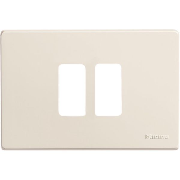 Cover plate 2 modules