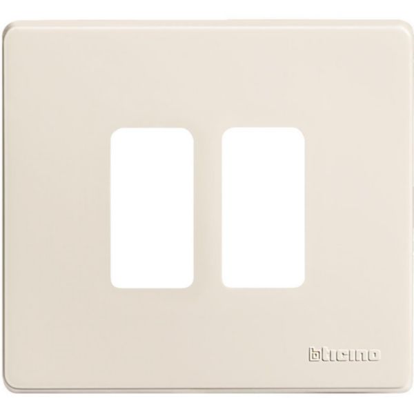 Cover plate 2 modules