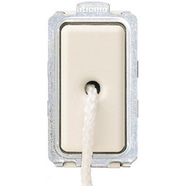 Switch 1P 10 A NO with tie cord