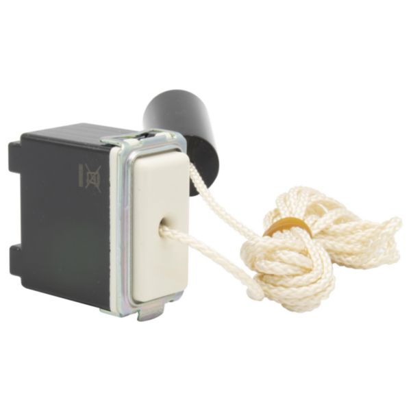 Switch 1P 10 A NO with tie cord